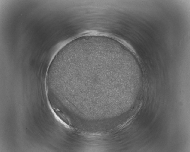 X0000078871247200612111705