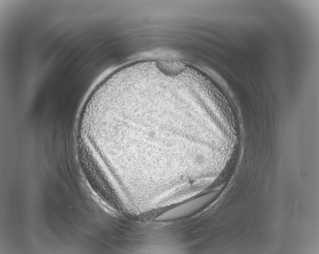 X0000078871248200612111705