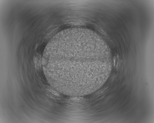 X0000078871251200612111704