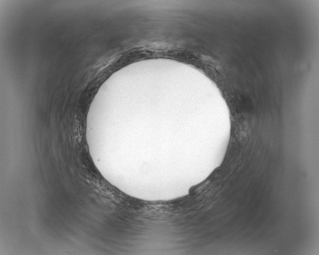 X0000078871253200612111704