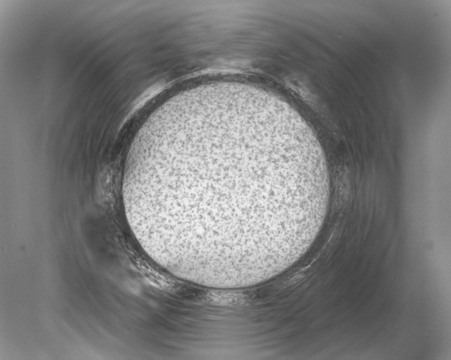 X0000078871258200612111704