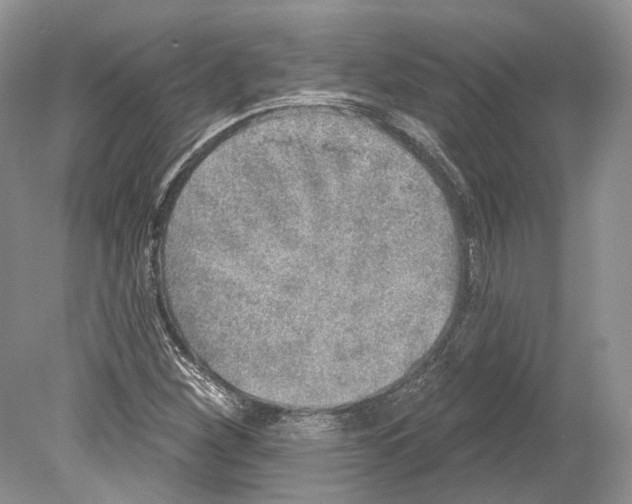 X0000078871260200612111704