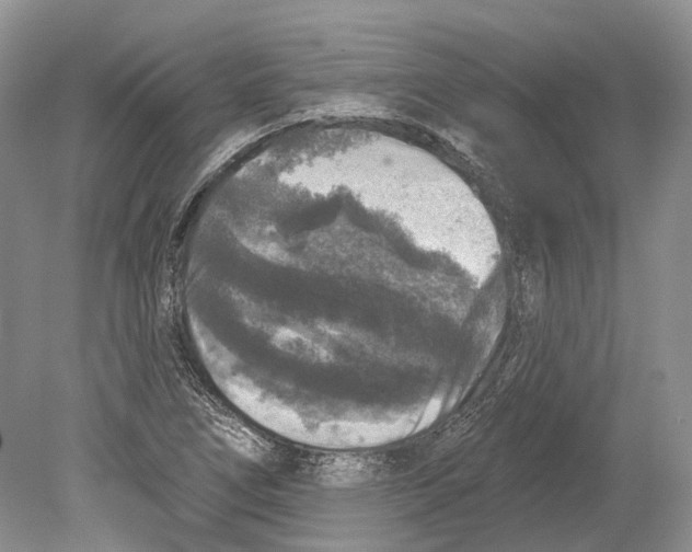 X0000078871266200612111704