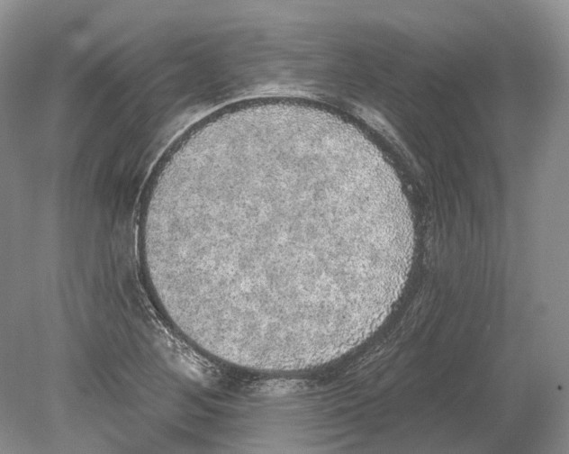 X0000078871268200612111704