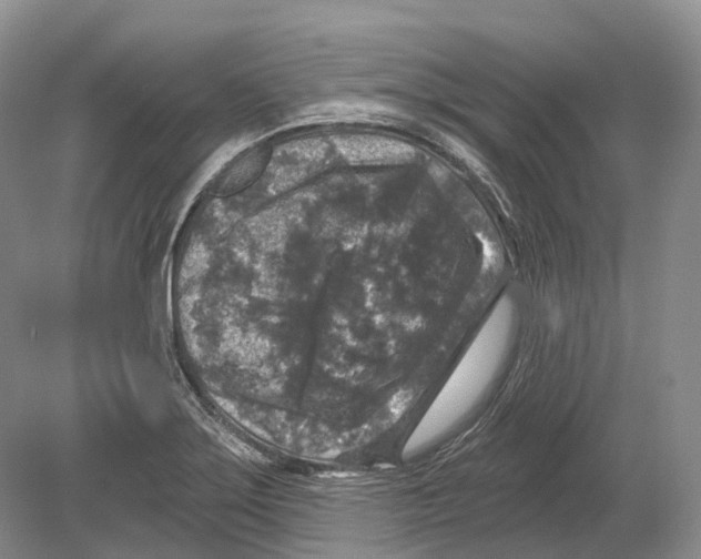 X0000078871275200612111704