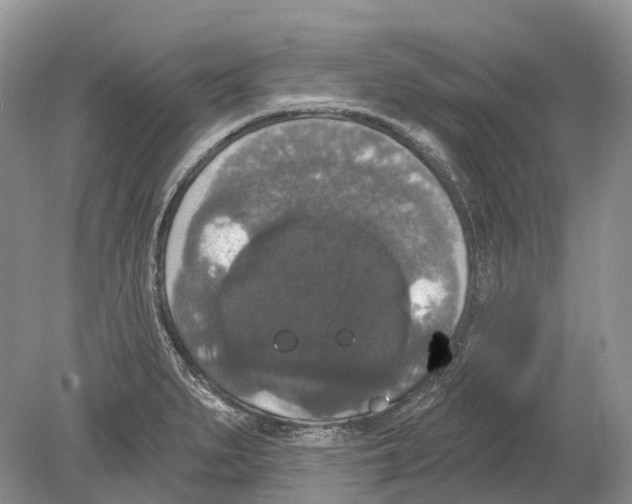 X0000078871279200612111704