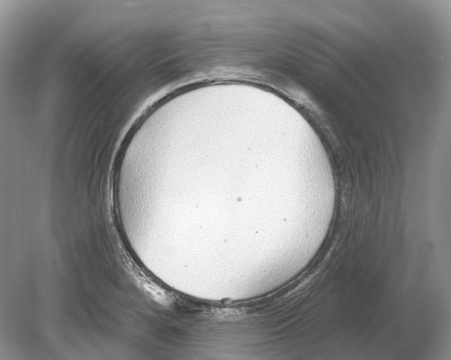 X0000078871280200612111704