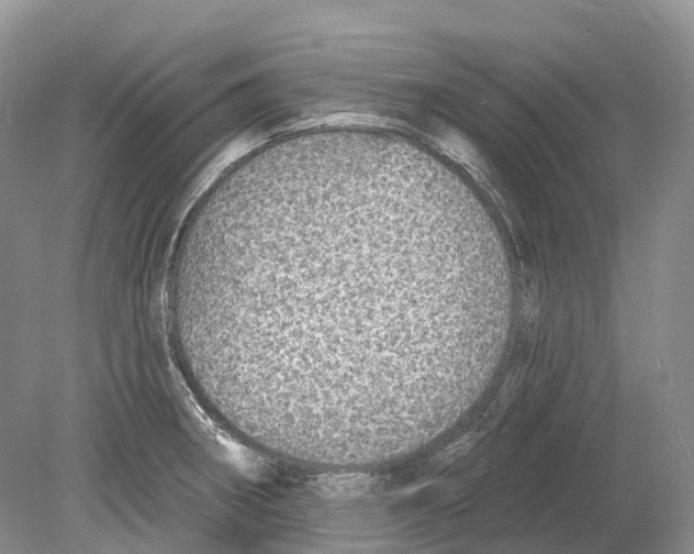 X0000078871282200612111704