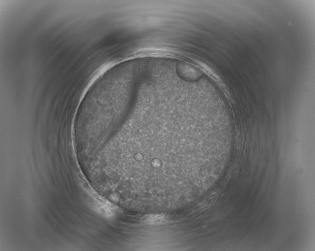 X0000078871283200612111704