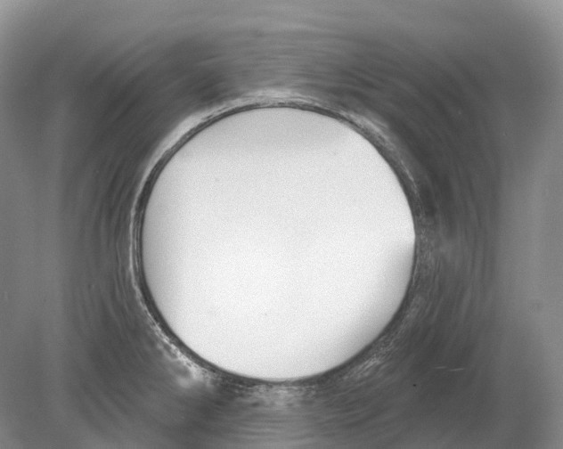 X0000078871286200612111704