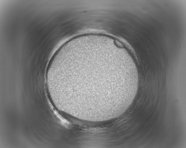 X0000078871287200612111704