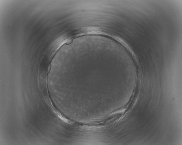 X0000078871289200612111704