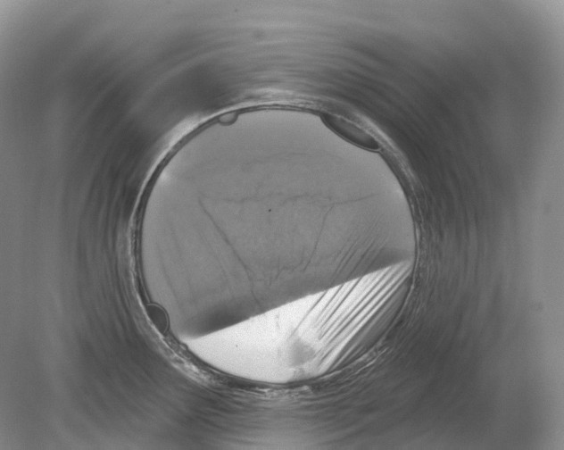 X0000078871291200612111704