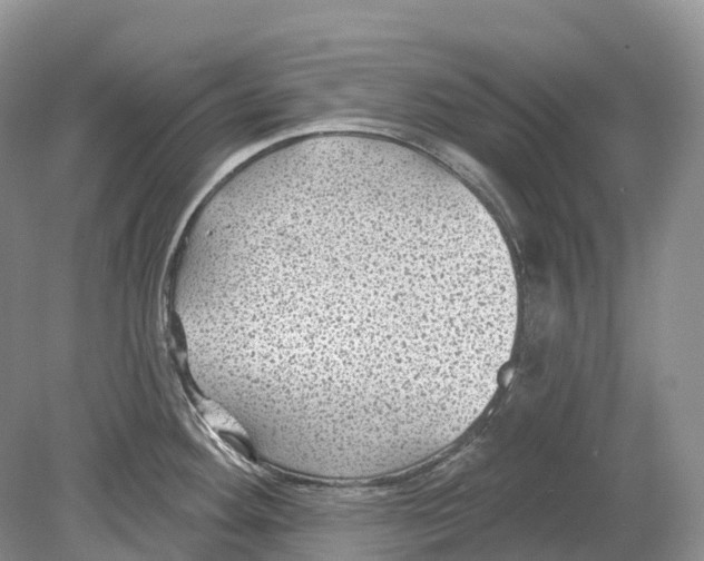 X0000078871292200612111704