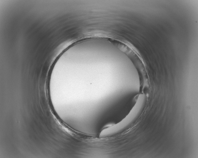 X0000078871293200612111704