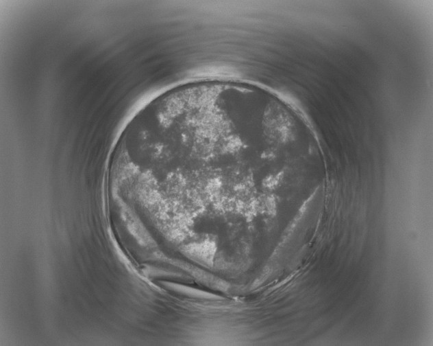 X0000078871295200612111704