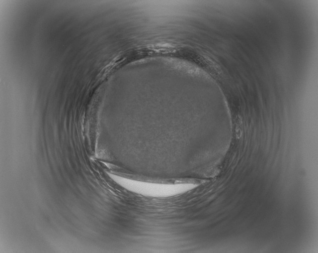 X0000078871298200612111703