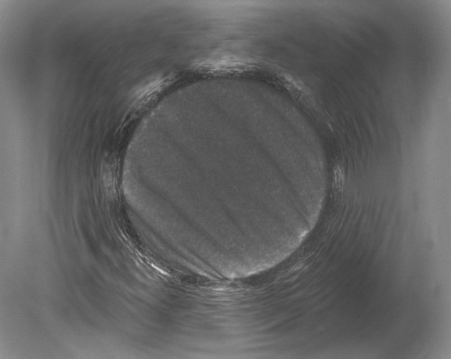 X0000078871300200612111703