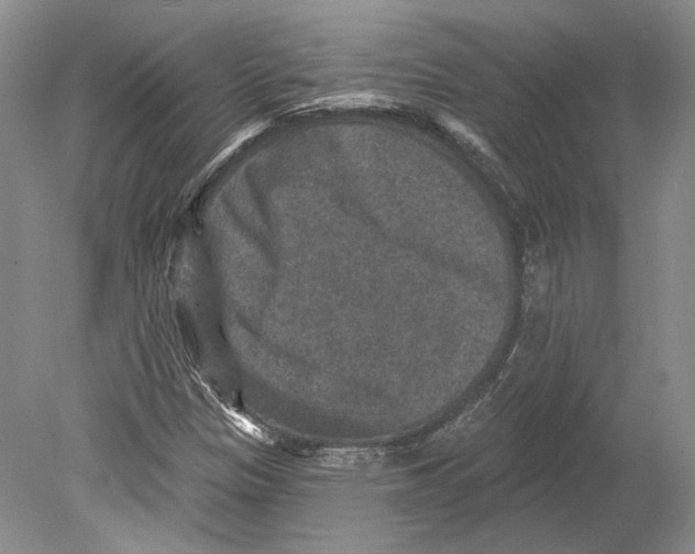 X0000078871305200612111703