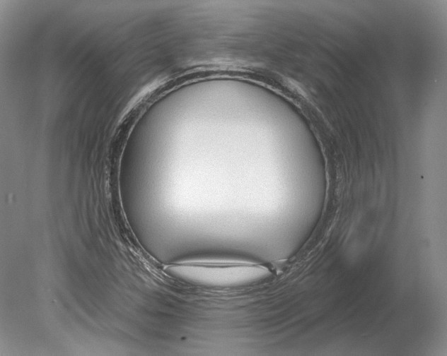 X0000078871307200612111703