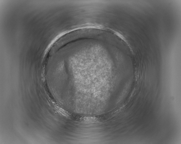 X0000078871310200612111703