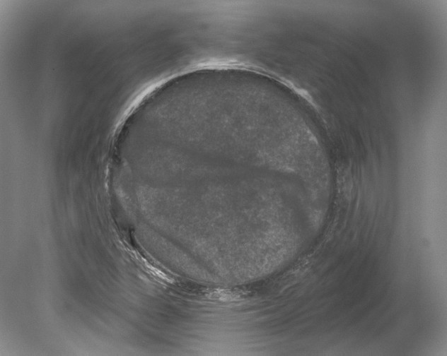 X0000078871311200612111703