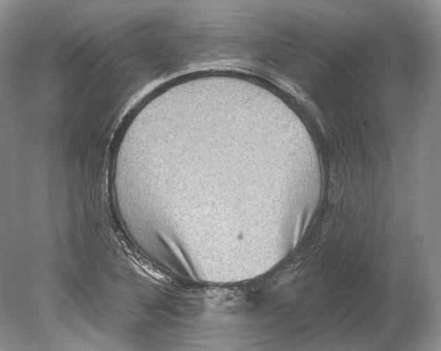 X0000078871316200612111703