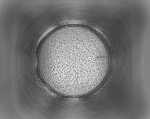 X0000078871317200612111703