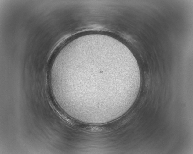 X0000078871318200612111703