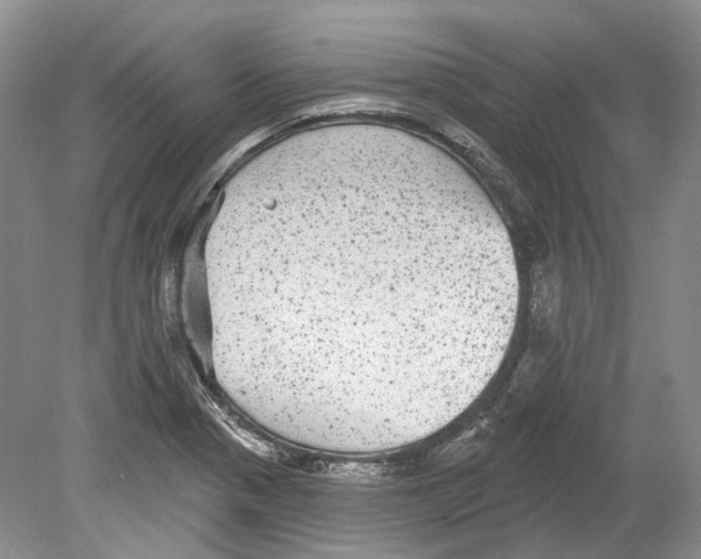 X0000078871321200612111703