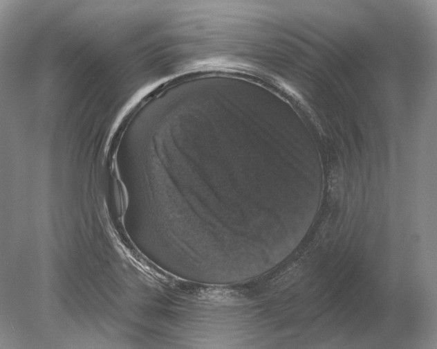 X0000078871323200612111703