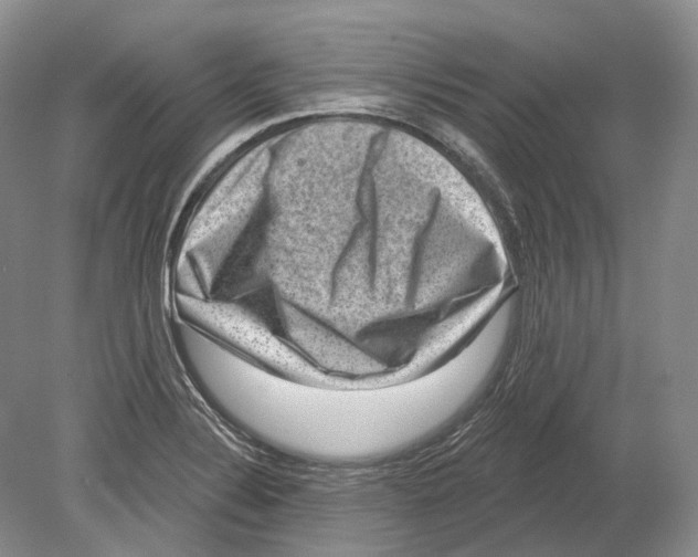 X0000078871324200612111703