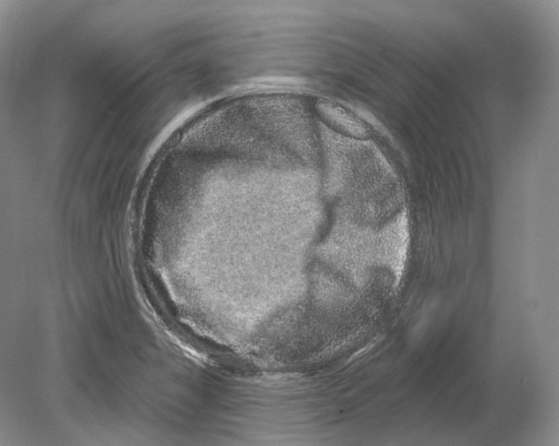 X0000078871325200612111703