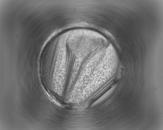 X0000078871326200612111703