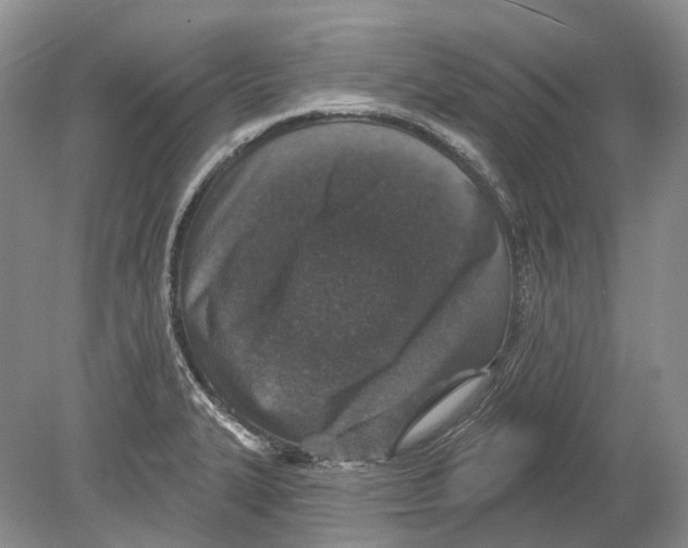 X0000078871327200612111703