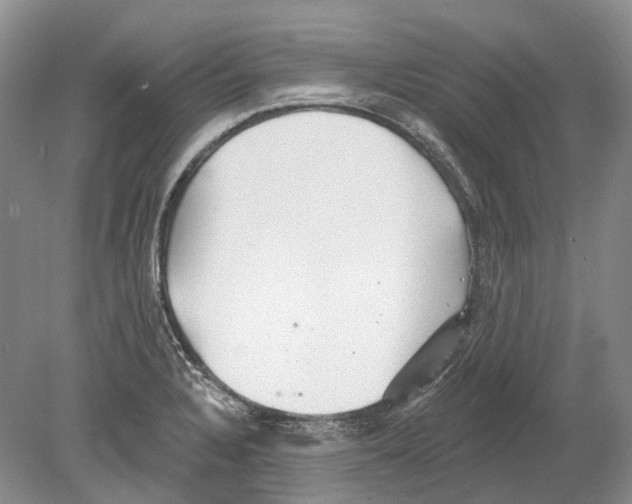 X0000078871328200612111703