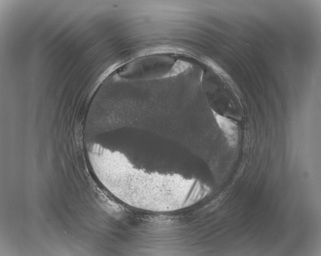 X0000078871329200612111703