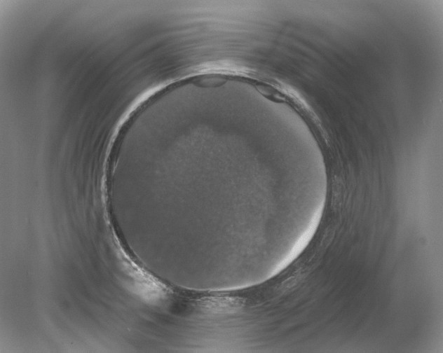 X0000078871331200612111703