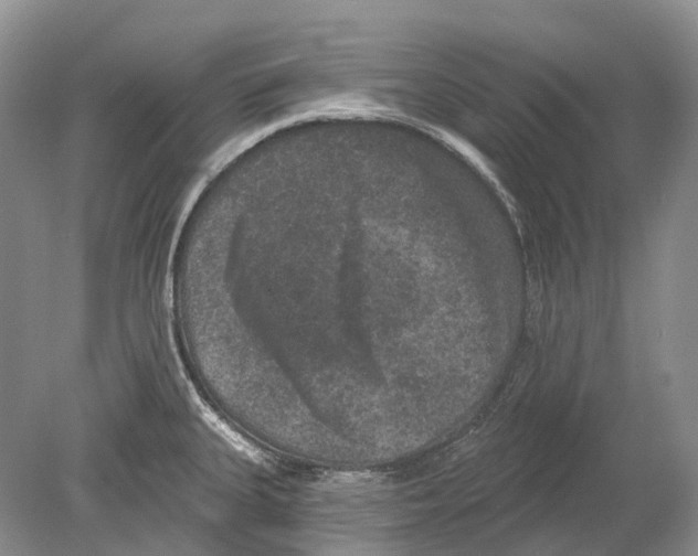 X0000078871335200612111703