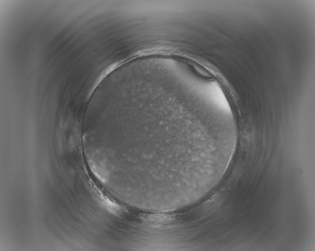 X0000078871337200612111704