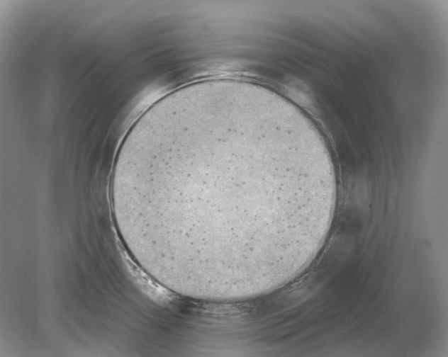 X0000078871338200612111704