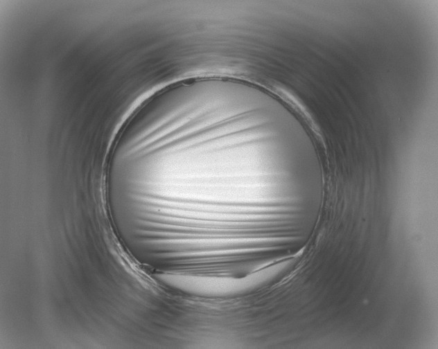 X0000078871340200612111704