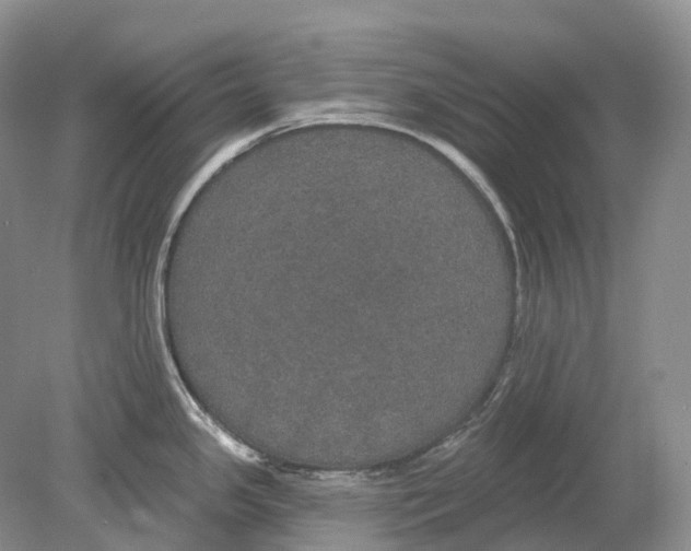 X0000078871341200612111704