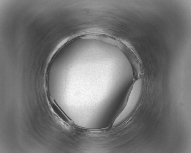 X0000078871342200612111704