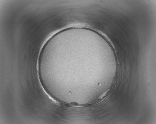 X0000078871343200612111704