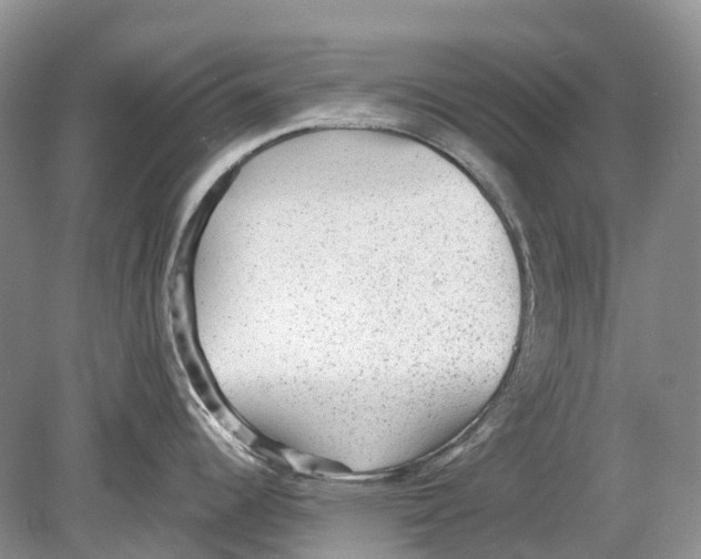 X0000078871344200612111704