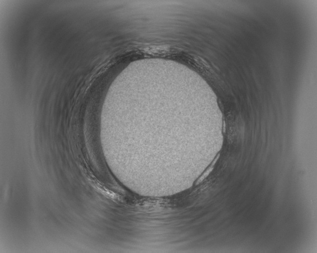 X0000078871345200612111703