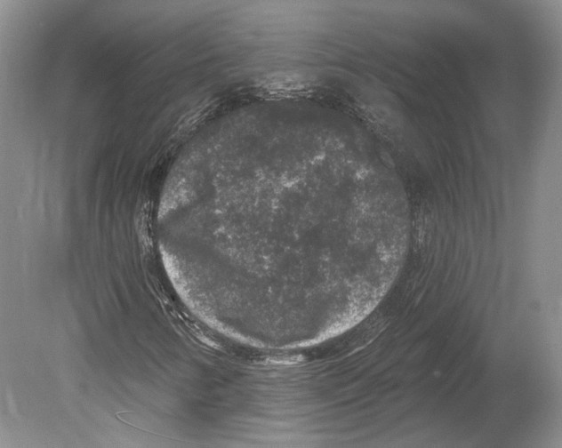 X0000078871346200612111703