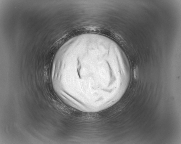 X0000078871347200612111703