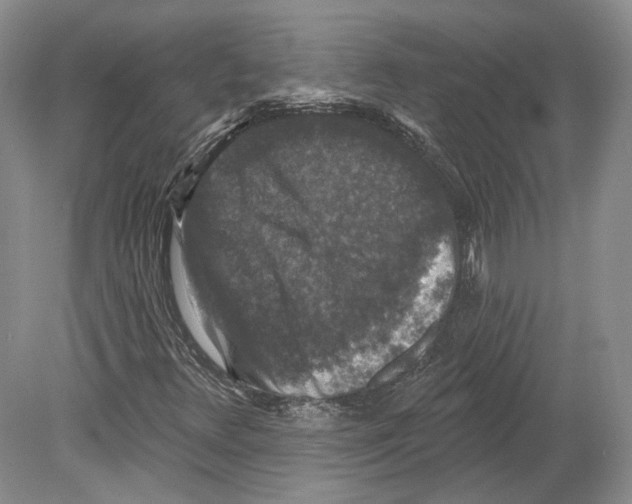 X0000078871348200612111703